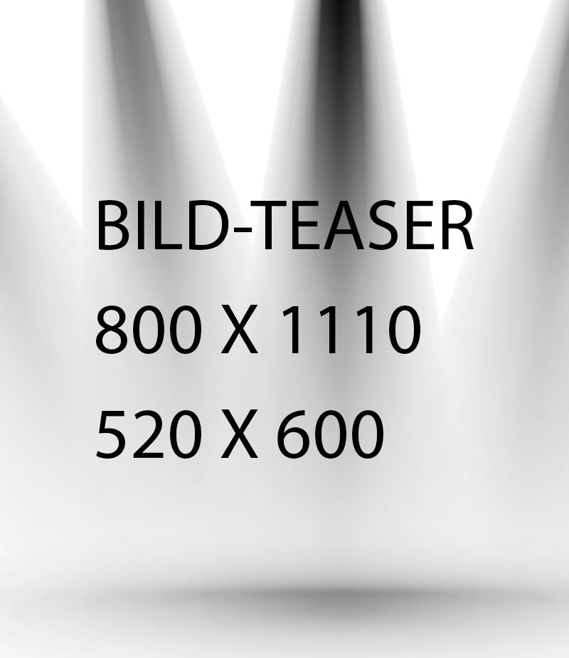 BILD-TEASER-aspect-ratio-520-600